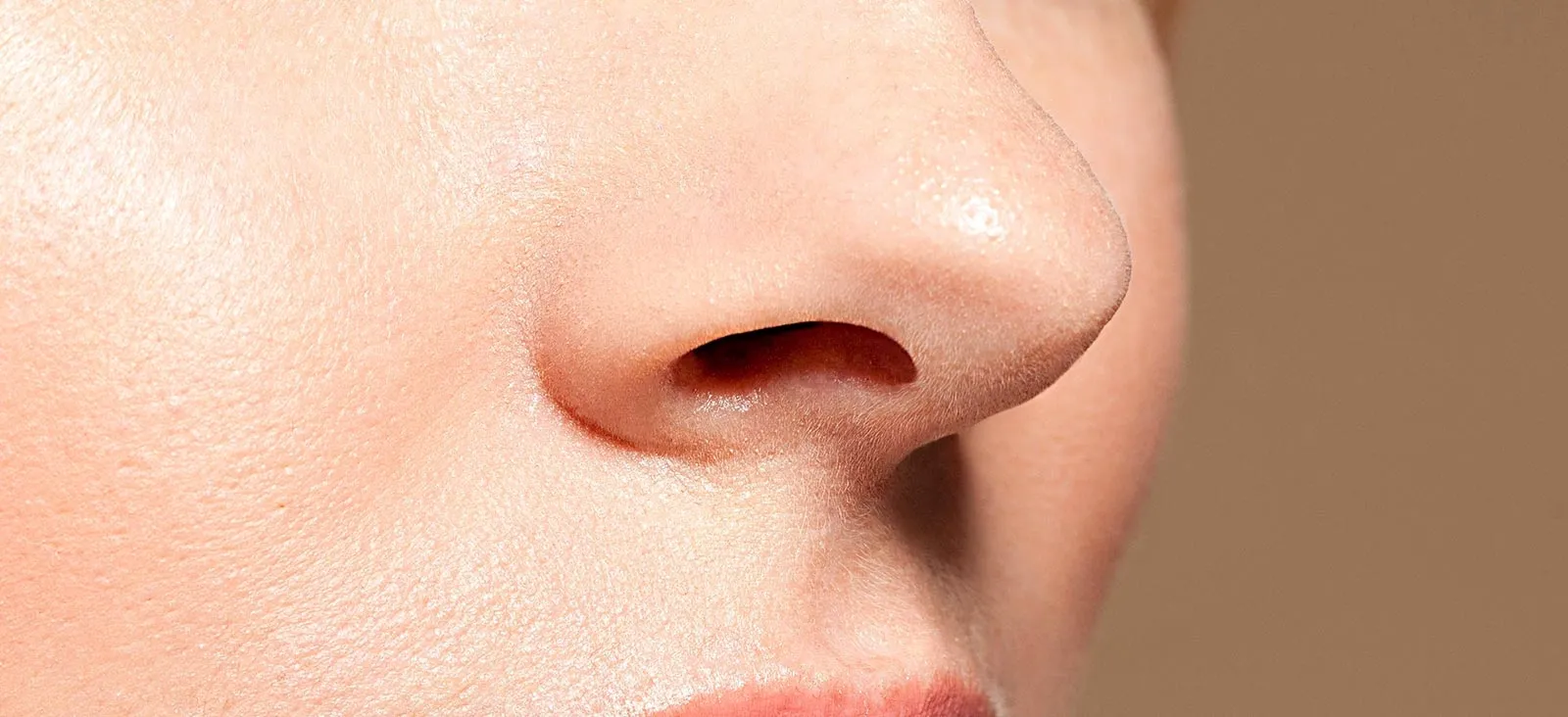 نەشتەرگەری لووت