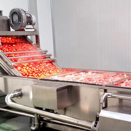 Tomato Paste Production Line MashinSakht Industrial Machinery Manufacturing Company