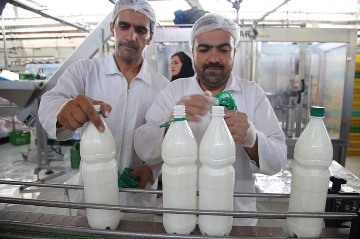 بفرین | تجربه‌ای تازه از لبنیات ایرانی