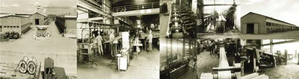 history of safakian company