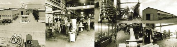 history of safakian company