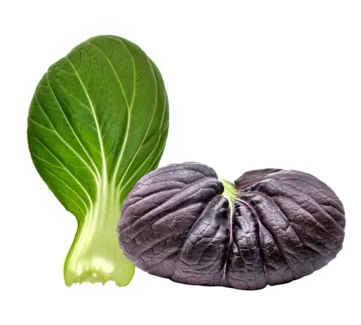 Yeşil ve Mor Pak Choi (Bok Choy veya Çin Lahanası)