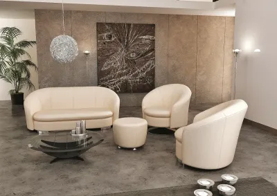 Ofis Kanepe ve Sehpası