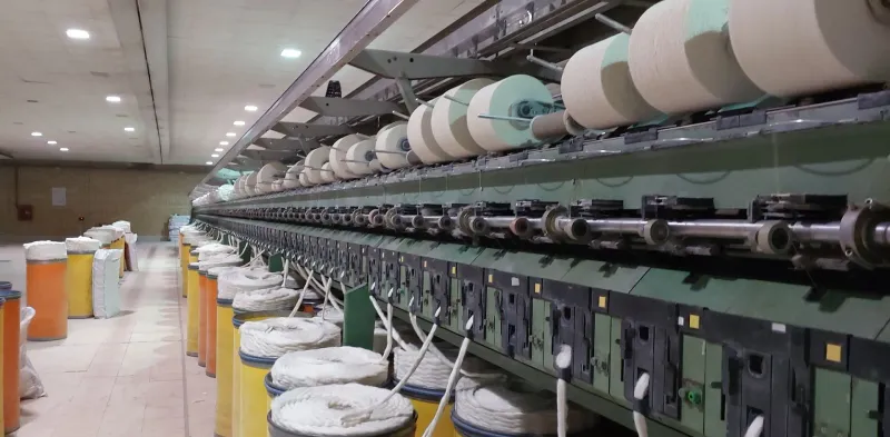 بخش اختصاصی ایندنگو