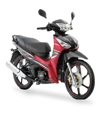 EHSAN RD 125 摩托车评测与用户指南