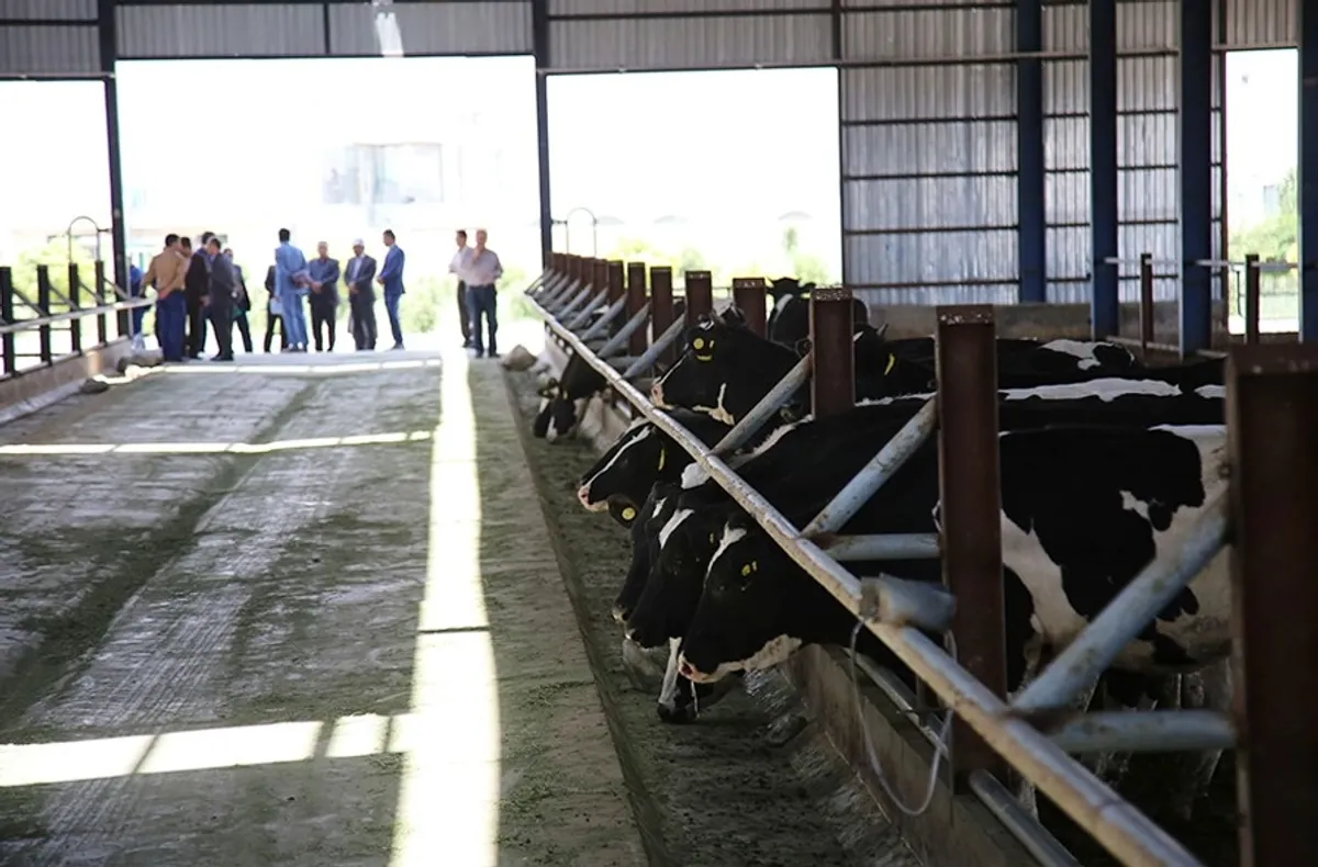 از تولید به مصرف