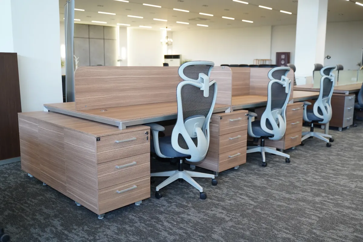 دیمەنی گشتی هۆڵی پێشانگای ڤانا