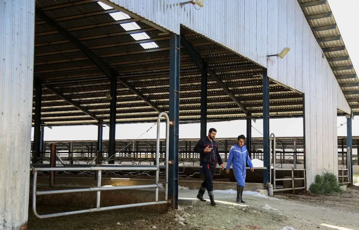 شرکت لبنیات بفرین | تازگی از مزرعه تا سفره