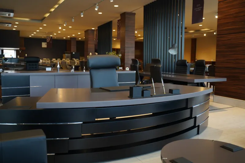 فانا فيرنيتشر