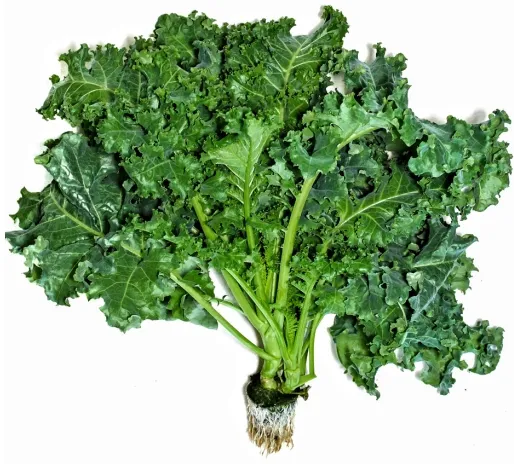 Kale