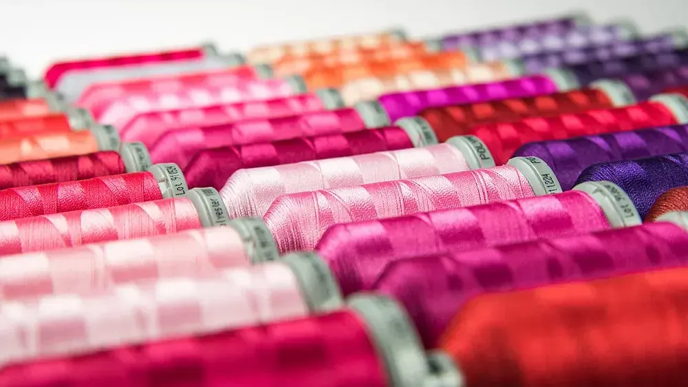 داوی ڤیسکۆس