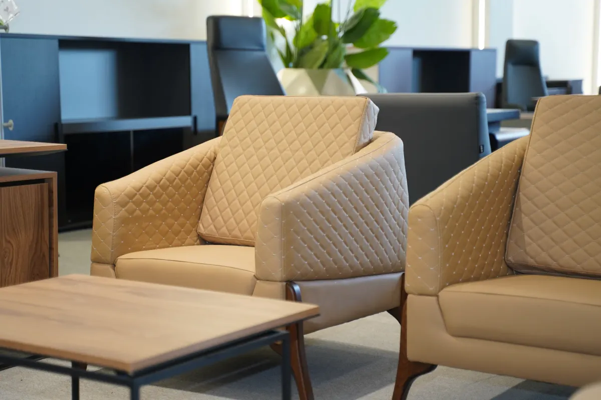 دیمەنی ڕێکخستنی ناوەوەی فرۆشگای ڤانا