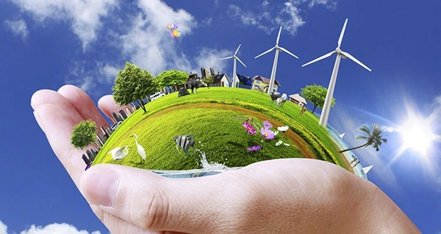 Energy Insurance and Special Schemes Dana Insurance