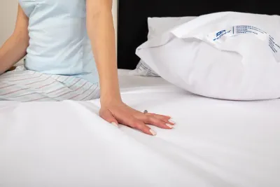 Goose Down Pillow