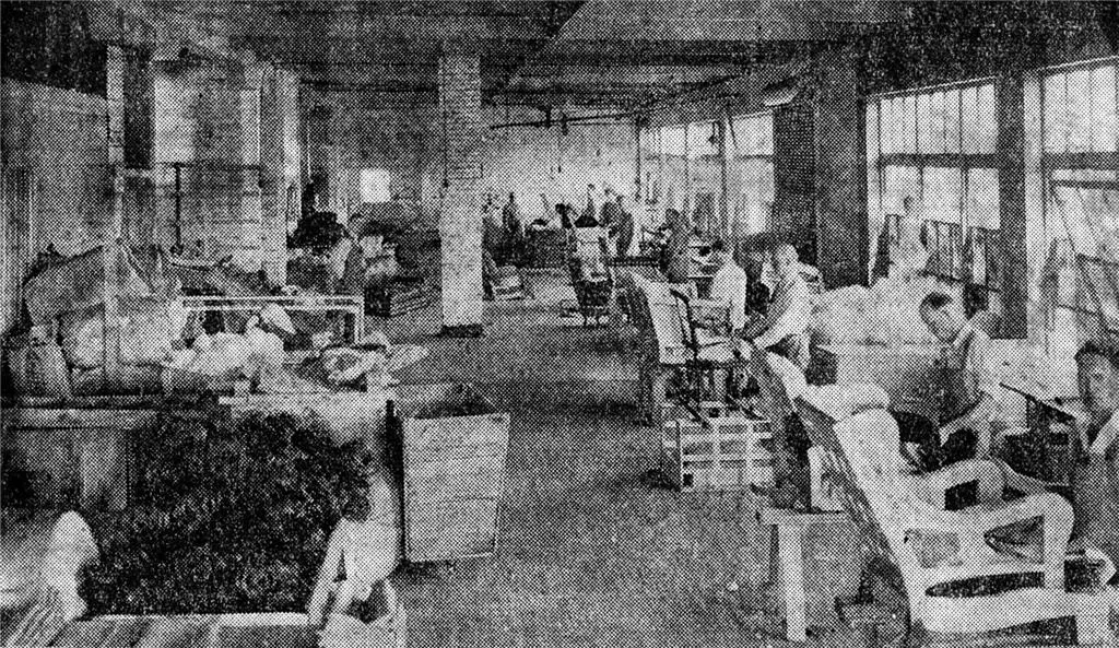 Transformation and industrialization of sofas by country