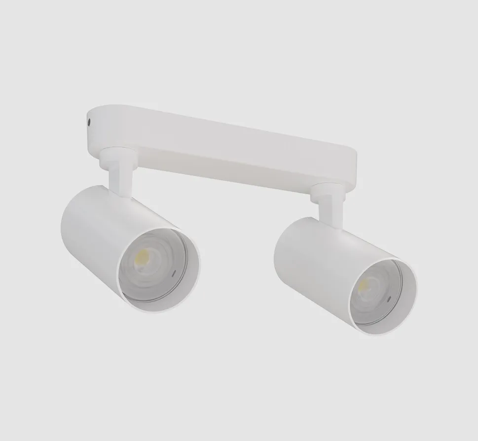 Honey Surface-Mounted Double Light